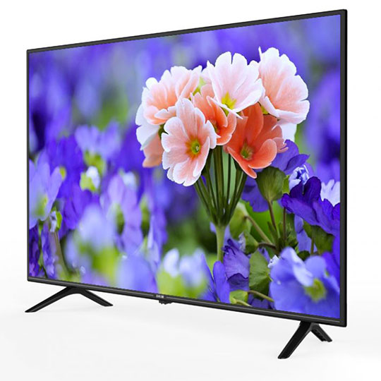 ECHOLINK TV 55